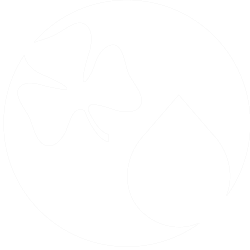 Pfadi Agua